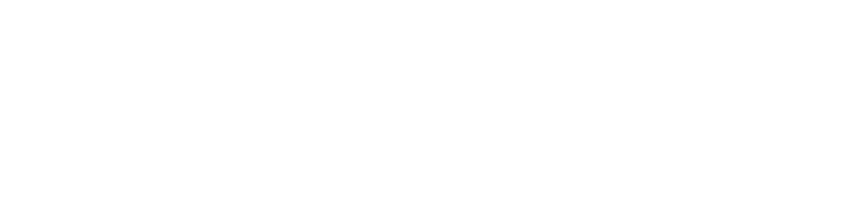 Insight Marine Surveys